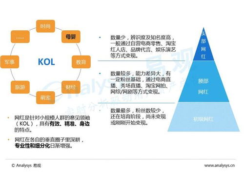 中国互联网母婴市场内容营销专题分析2016